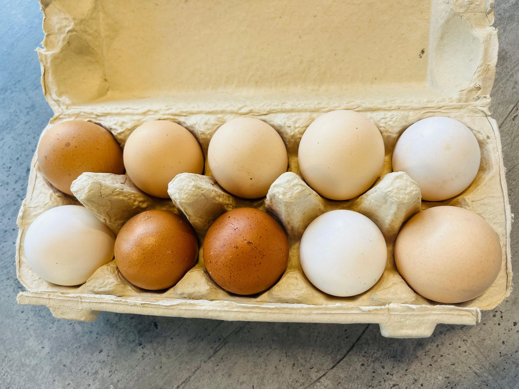 PHOTO-2025-08-11-17-02-58 2.webp