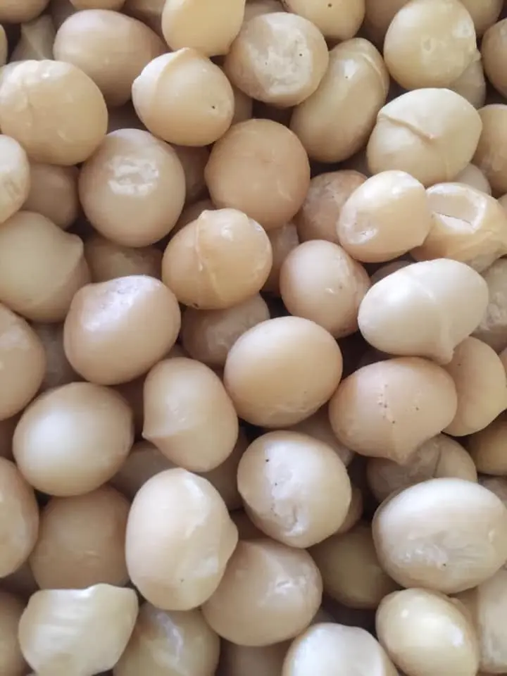 Makadamijos riešutai, 500g